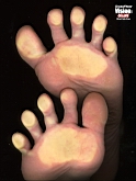 psceline090.jpg